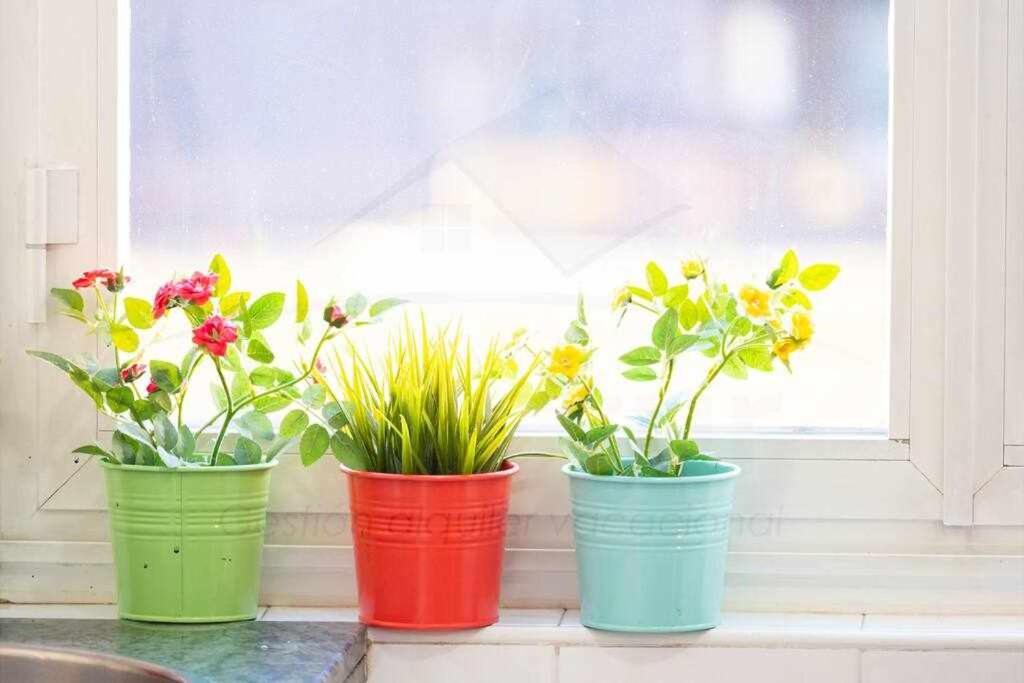 Colours Apartamento 奥维耶多 外观 照片